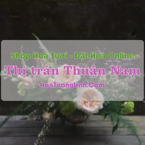 Shop Hoa Tươi Thị trấn Thuận Nam - Bình Thuận