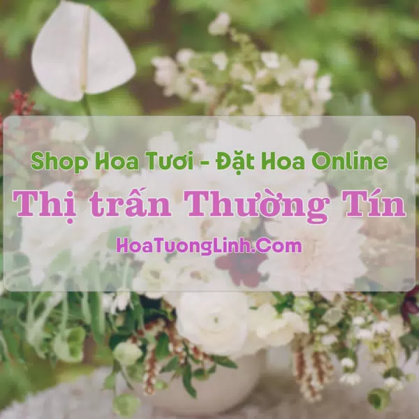 Shop Hoa Tươi Thị trấn Thường Tín - Hà Nội