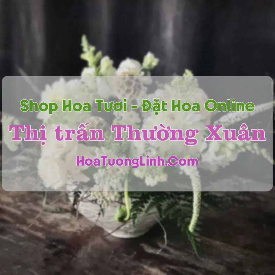 Shop Hoa Tươi Thị Trấn Thường Xuân - Thanh Hóa