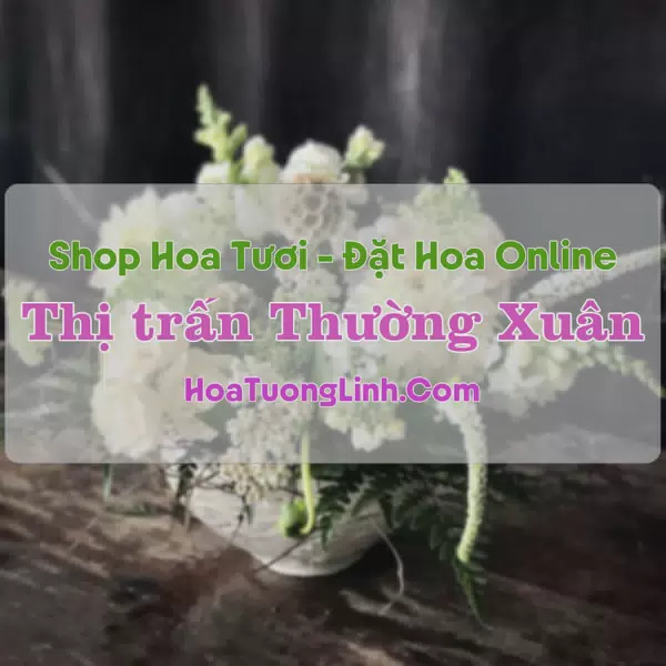 Shop Hoa Tươi Thị Trấn Thường Xuân - Thanh Hóa