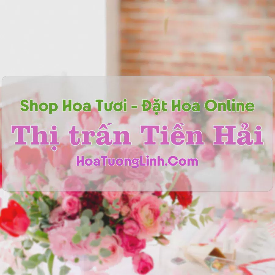 Shop Hoa Tươi Thị trấn Tiền Hải - Thái Bình