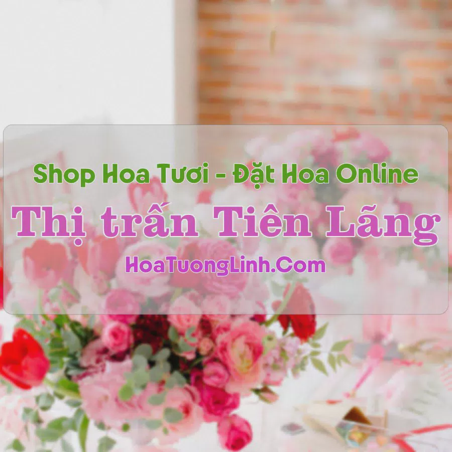 Shop Hoa Tươi Thị Trấn Tiên Lãng - Hải Phòng
