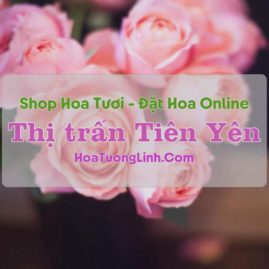 Shop Hoa Tươi Thị Trấn Tiên Yên - Quảng Ninh