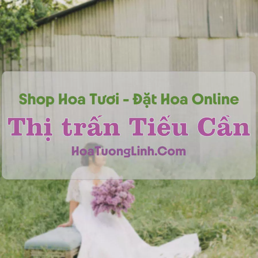 Shop Hoa Tươi Thị trấn Tiểu Cần - Trà Vinh