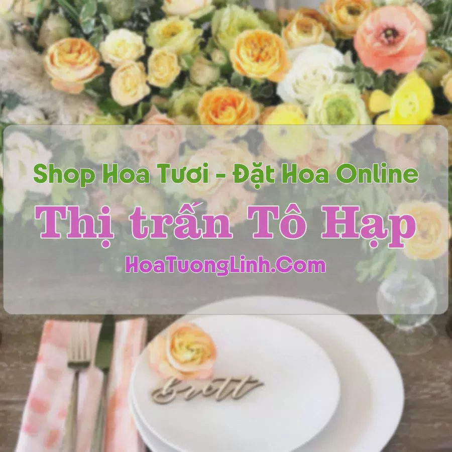 Shop Hoa Tươi Thị trấn Tô Hạp - Khánh Hòa