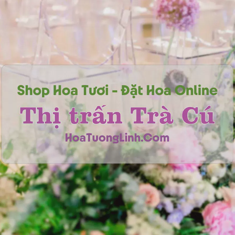 Shop Hoa Tươi Thị trấn Trà Cú - Trà Vinh