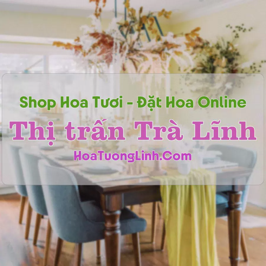 Shop Hoa Tươi Thị trấn Trà Lĩnh - Cao Bằng