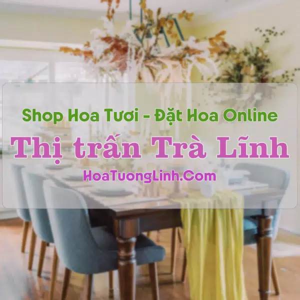 Shop Hoa Tươi Thị trấn Trà Lĩnh - Cao Bằng