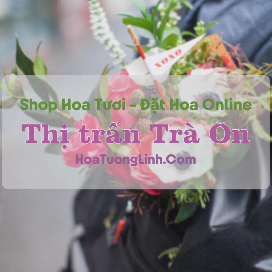 Shop Hoa Tươi Thị Trấn Trà Ôn - Vĩnh Long