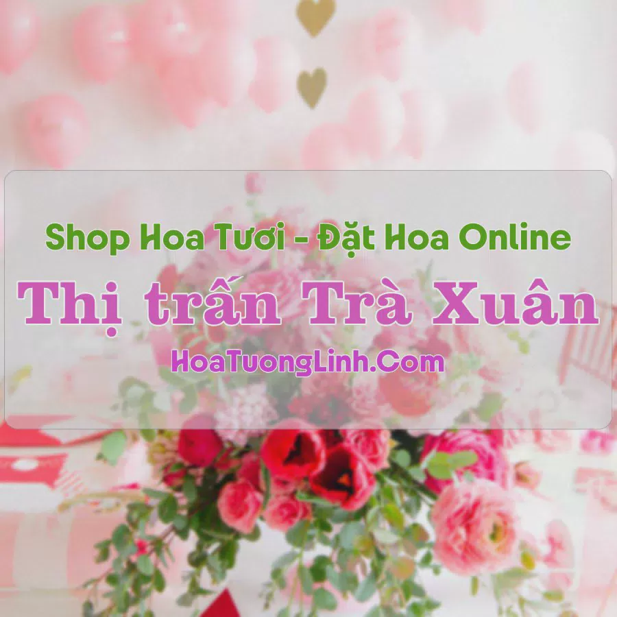 Shop Hoa Tươi Thị trấn Trà Xuân - Quảng Ngãi