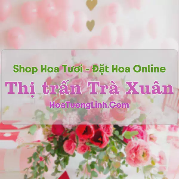 Shop Hoa Tươi Thị trấn Trà Xuân - Quảng Ngãi