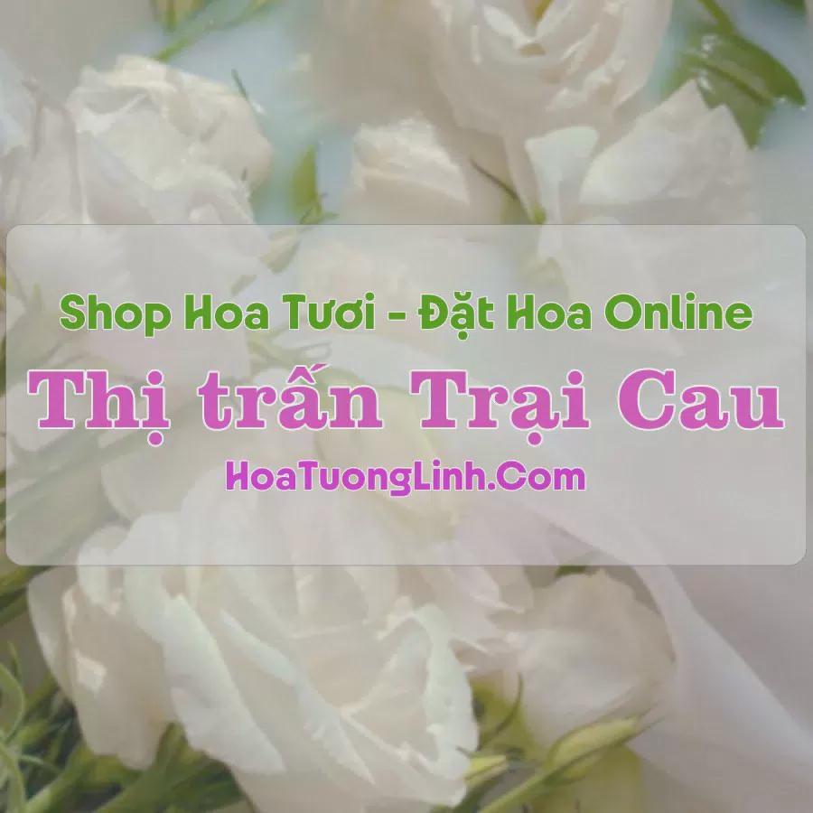 Shop Hoa Tươi Trại Cau - Đồng Hỷ, Thái Nguyên