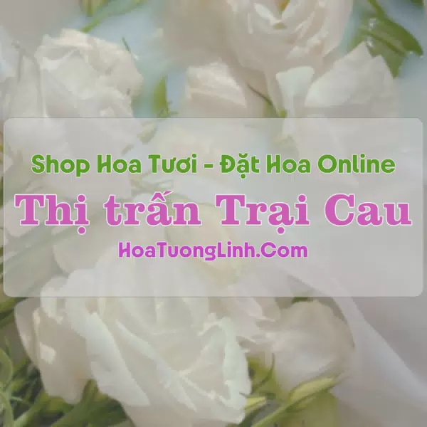 Shop Hoa Tươi Trại Cau - Đồng Hỷ, Thái Nguyên