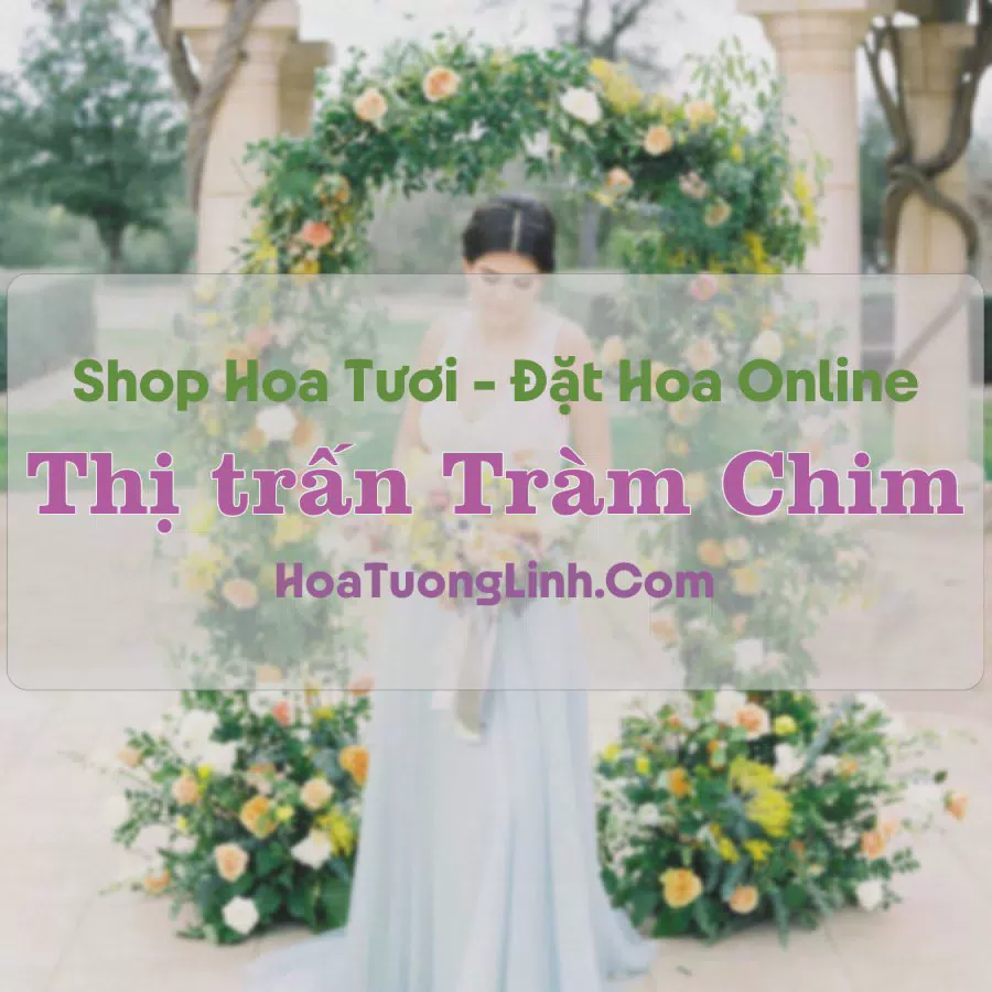 Shop Hoa Tươi Thị Trấn Tràm Chim - Đồng Tháp