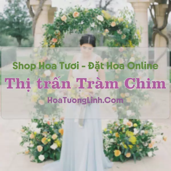 Shop Hoa Tươi Thị Trấn Tràm Chim - Đồng Tháp