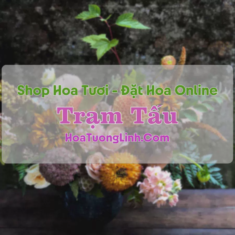 Shop Hoa Tươi Thị Trấn Trạm Tấu - Yên Bái