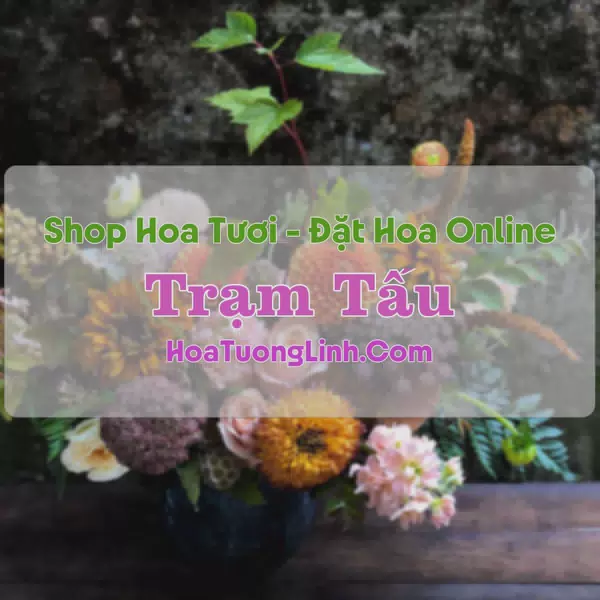 Shop Hoa Tươi Thị Trấn Trạm Tấu - Yên Bái