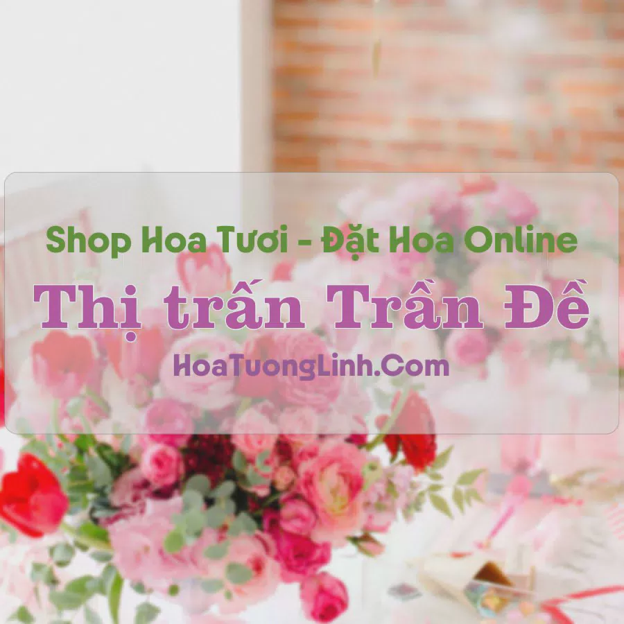 Shop Hoa Tươi Thị Trấn Trần Đề - Sóc Trăng