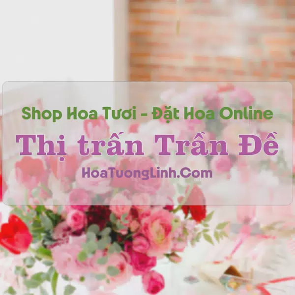 Shop Hoa Tươi Thị Trấn Trần Đề - Sóc Trăng