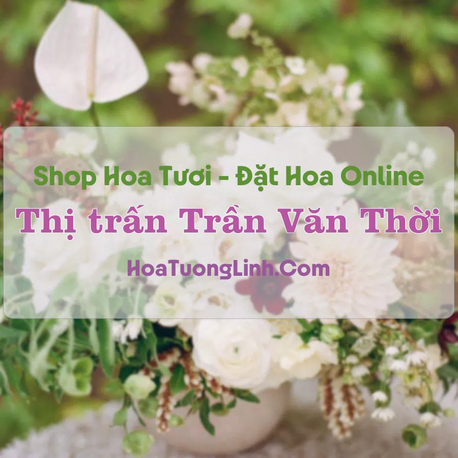 Shop Hoa Tươi Thị Trấn Trần Văn Thời – Cà Mau