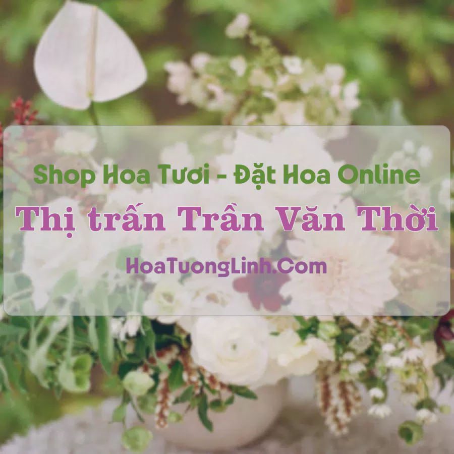 Shop Hoa Tươi Thị Trấn Trần Văn Thời - Cà Mau