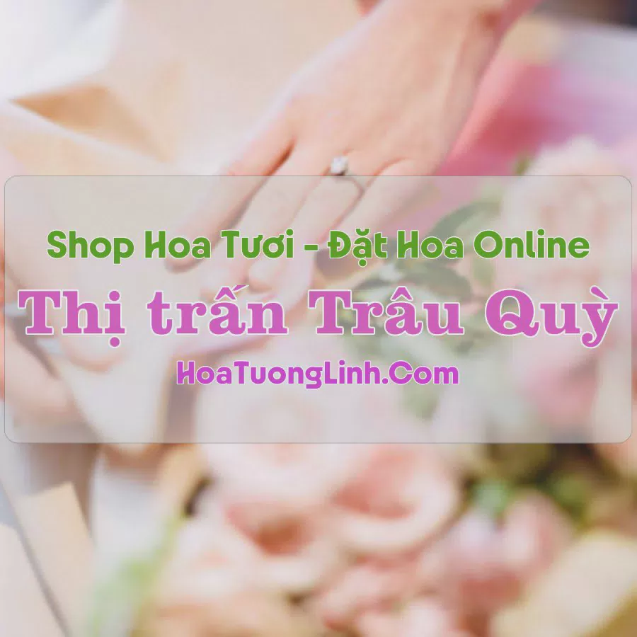 Shop Hoa Tươi Thị trấn Trâu Quỳ - Hà Nội