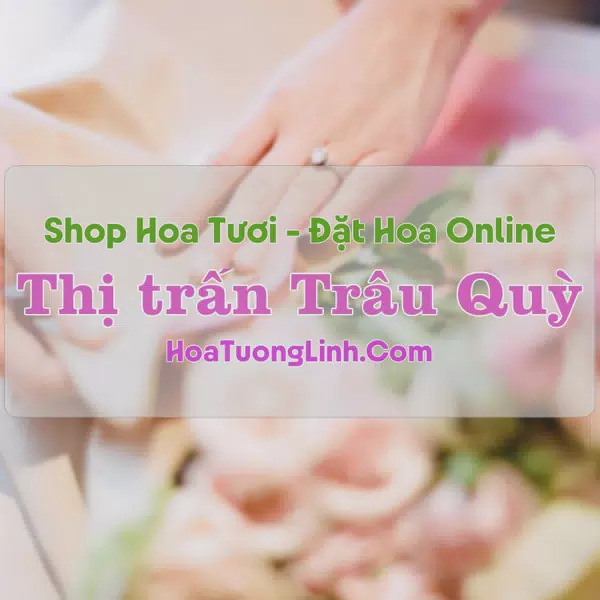 Shop Hoa Tươi Thị trấn Trâu Quỳ - Hà Nội