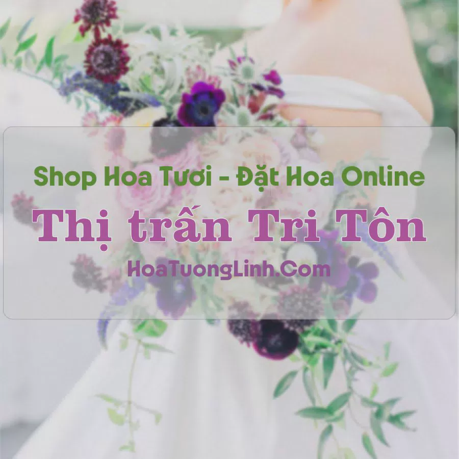Shop Hoa Tươi Thị trấn Tri Tôn - An Giang