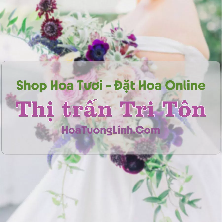 Shop Hoa Tươi Thị trấn Tri Tôn – An Giang