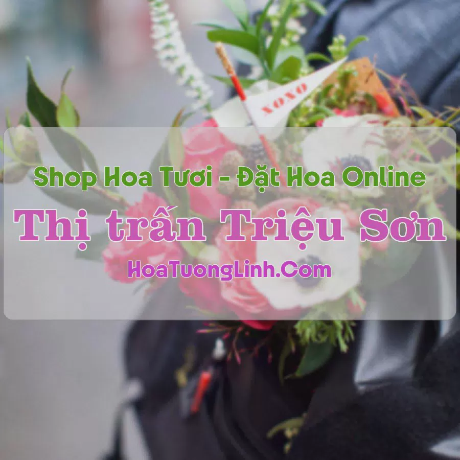 Shop Hoa Tươi Thị Trấn Triệu Sơn - Thanh Hóa