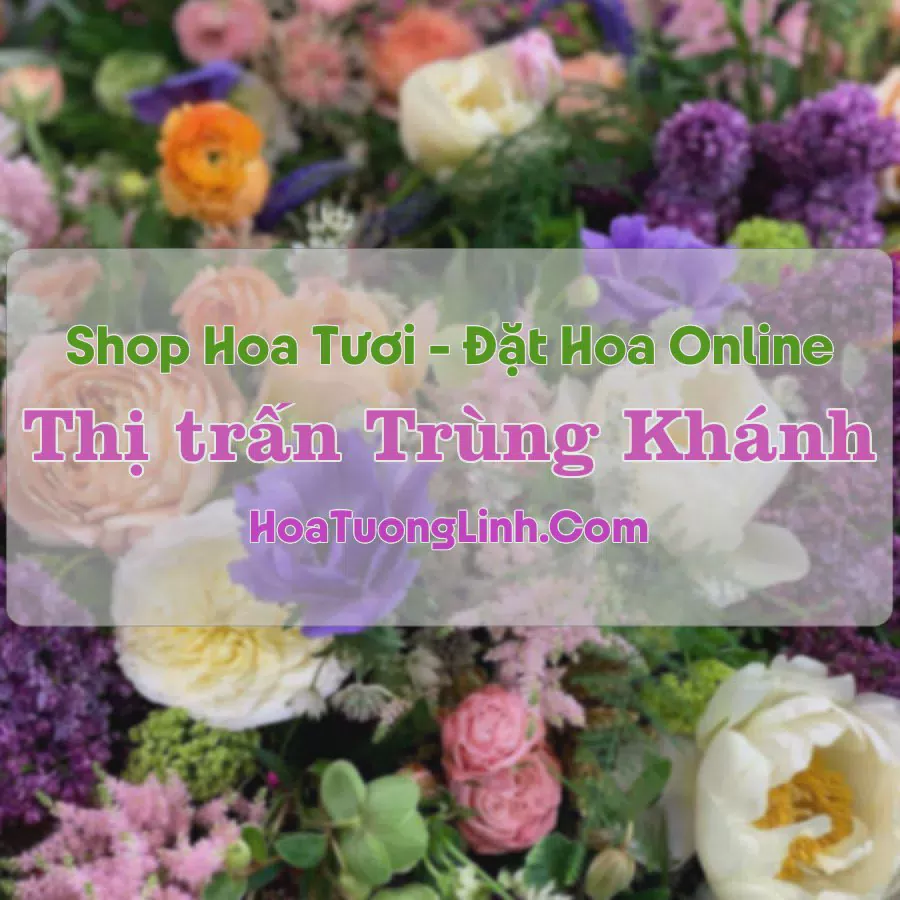 Shop Hoa Tươi Thị trấn Trùng Khánh - Cao Bằng