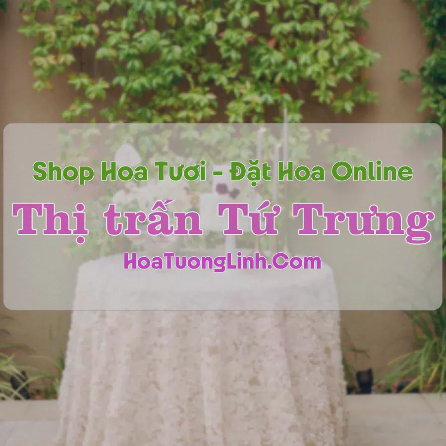 Shop Hoa Tươi Thị Trấn Tứ Trưng - Vĩnh Tường, Vĩnh Phúc