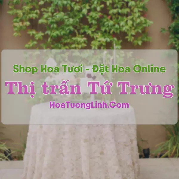 Shop Hoa Tươi Thị Trấn Tứ Trưng - Vĩnh Tường, Vĩnh Phúc
