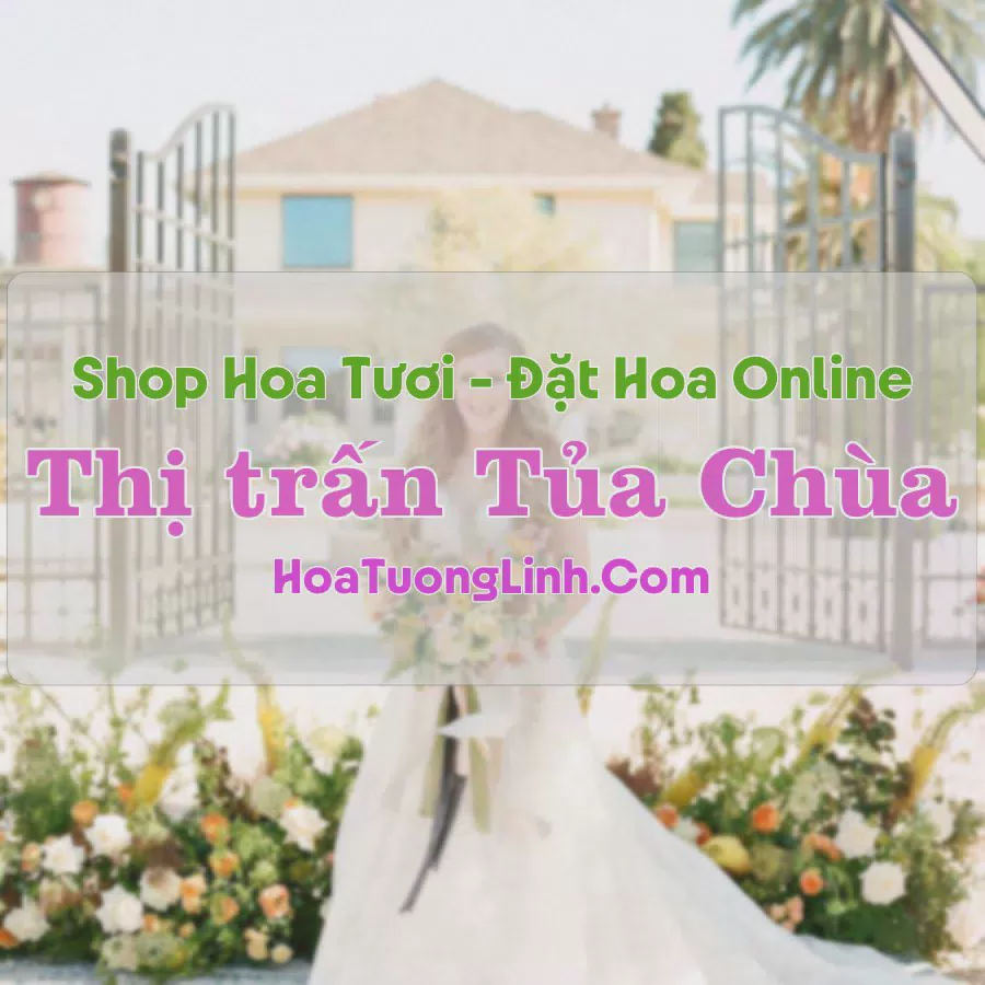 Shop Hoa Tươi Thị Trấn Tủa Chùa - Điện Biên
