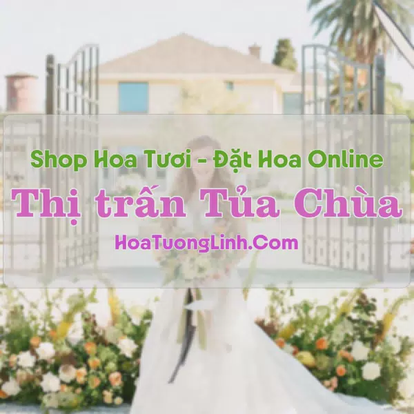 Shop Hoa Tươi Thị Trấn Tủa Chùa - Điện Biên