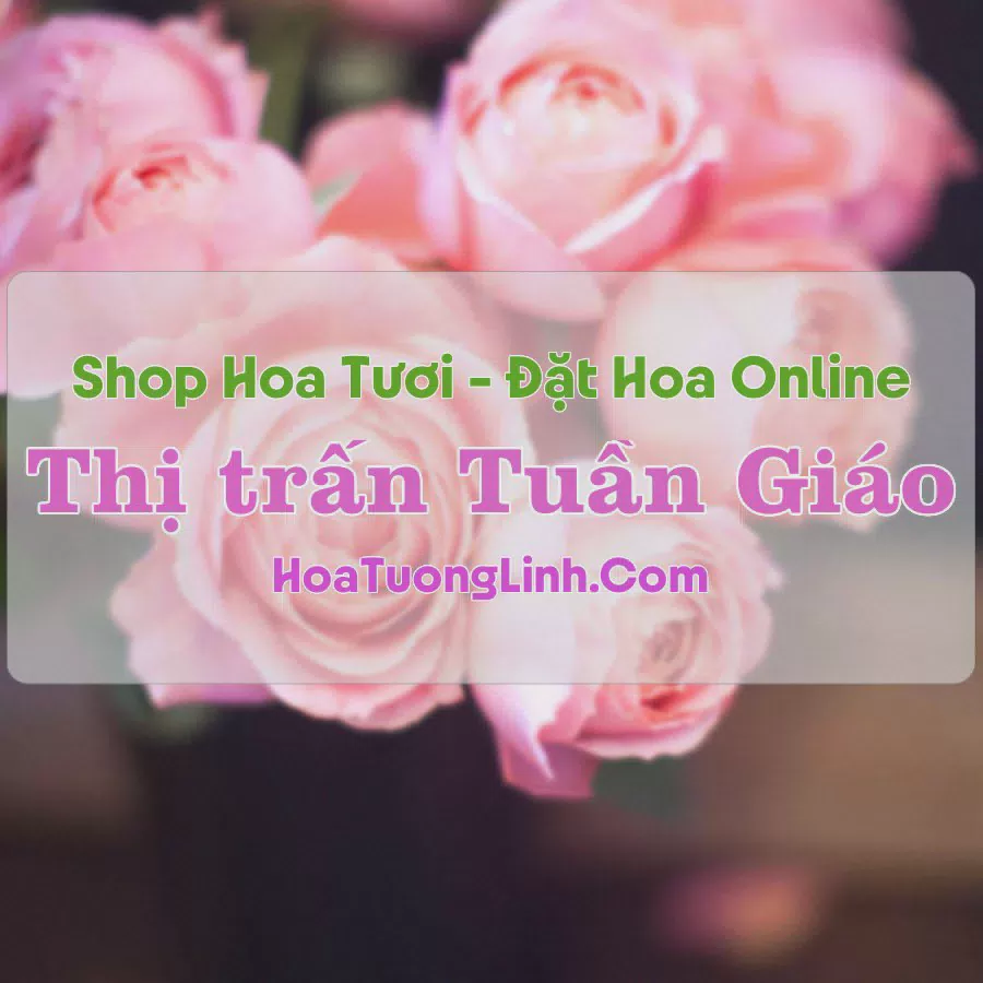 Shop Hoa Tươi Thị Trấn Tuần Giáo - Điện Biên