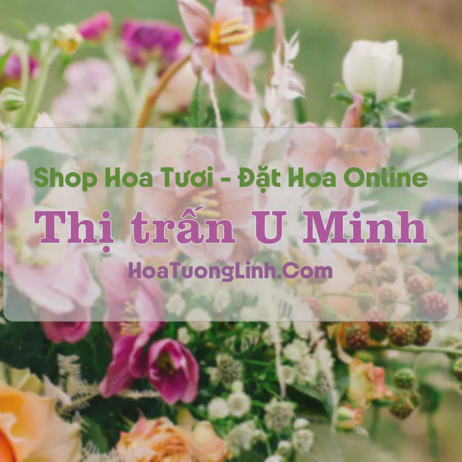Shop Hoa Tươi Thị Trấn U Minh - Cà Mau