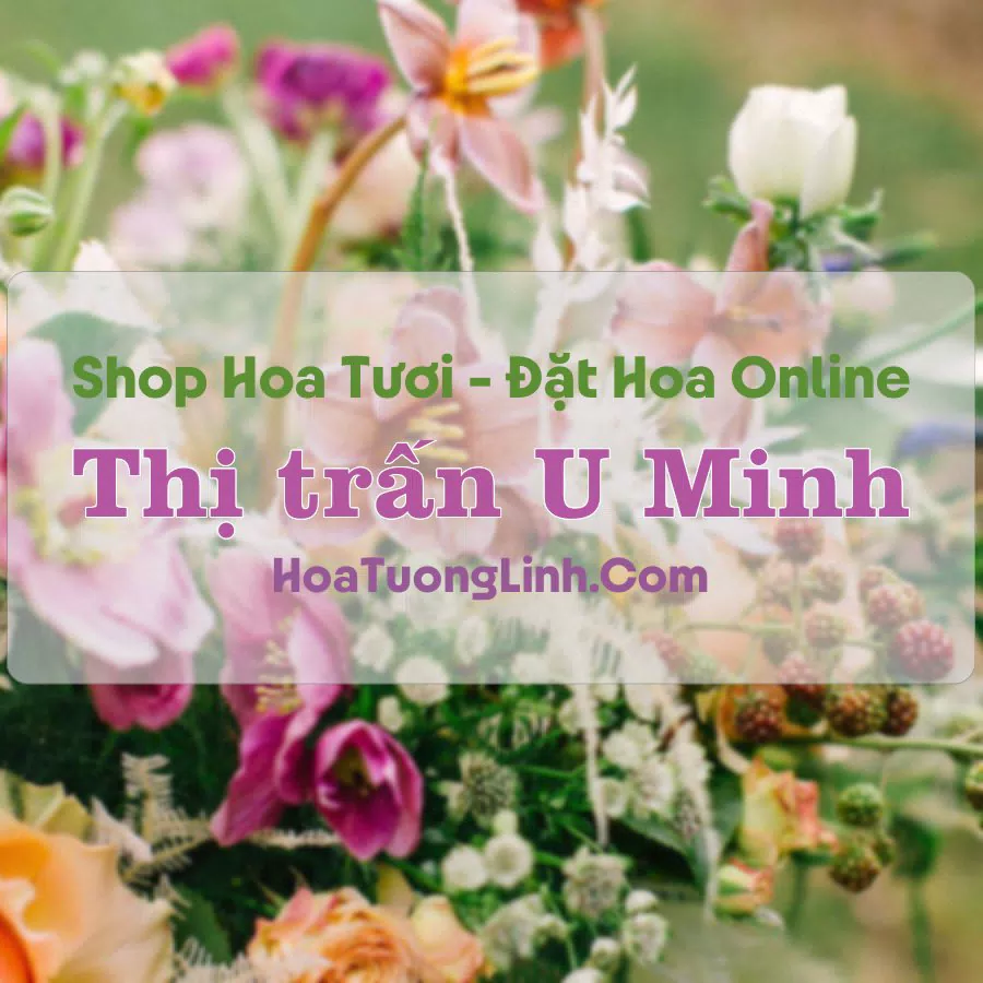 Shop Hoa Tươi Thị Trấn U Minh – Cà Mau