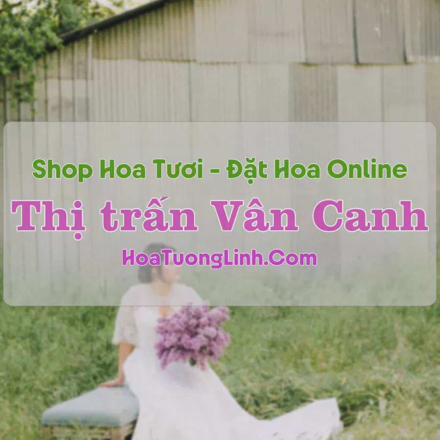 Shop Hoa Tươi Thị trấn Vân Canh - Bình Định