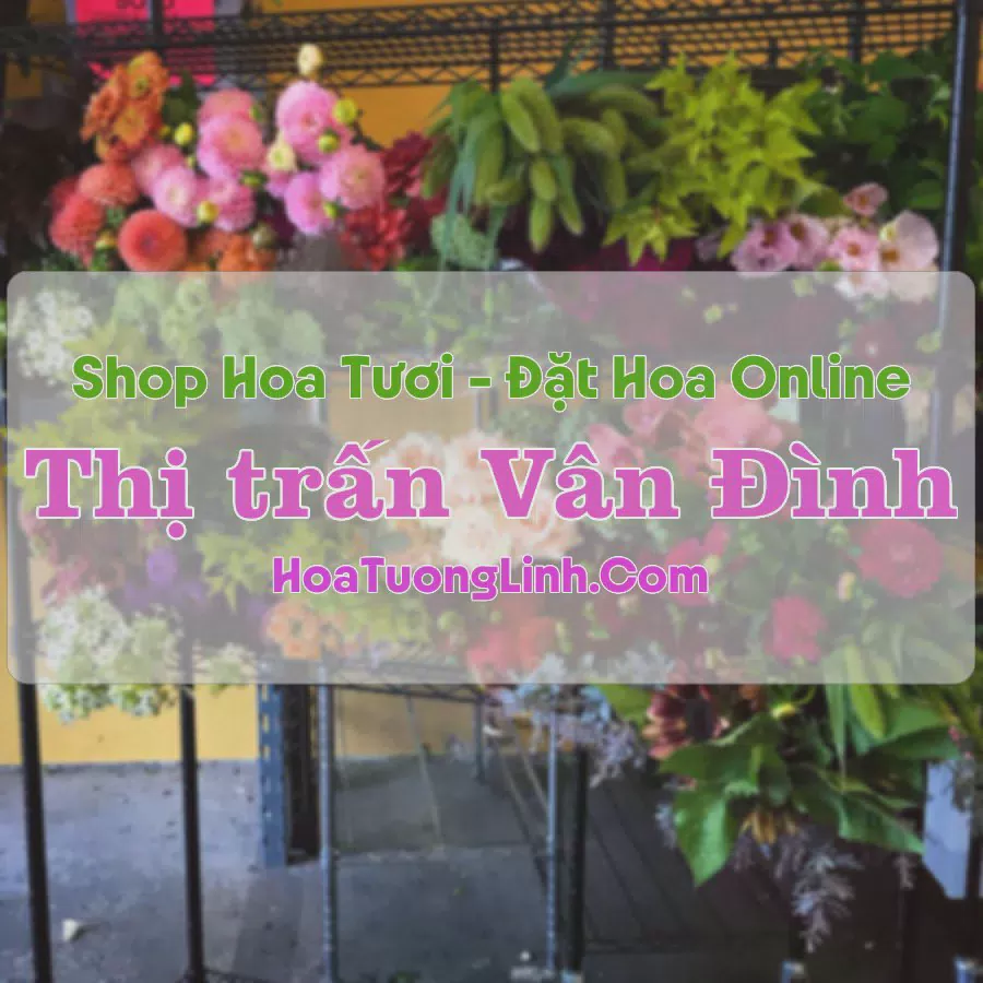 Shop Hoa Tươi Thị trấn Vân Đình - Hà Nội