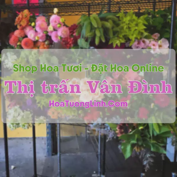 Shop Hoa Tươi Thị trấn Vân Đình - Hà Nội