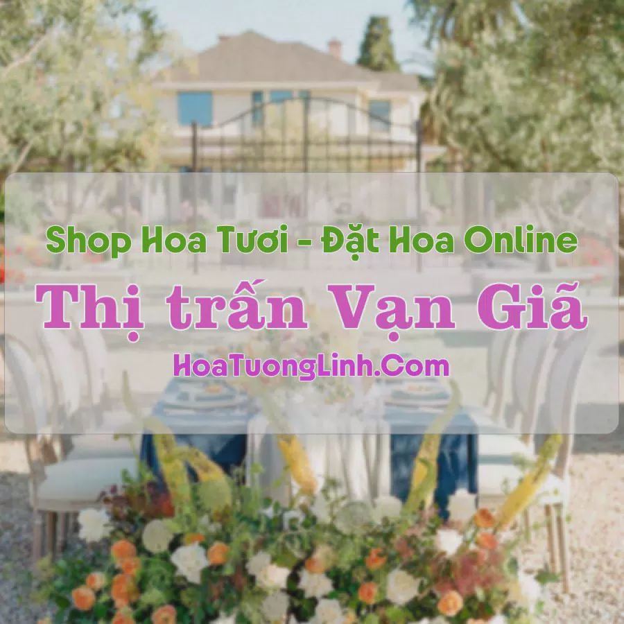 Shop Hoa Tươi Thị trấn Vạn Giã - Khánh Hòa