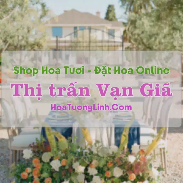 Shop Hoa Tươi Thị trấn Vạn Giã - Khánh Hòa