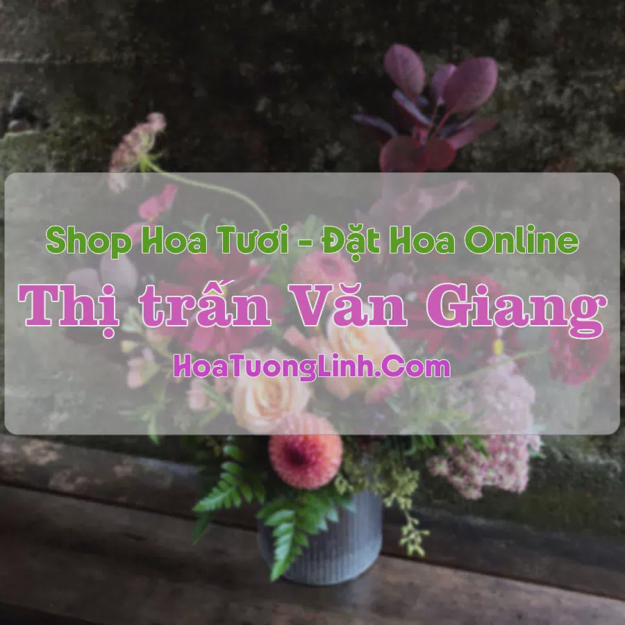 Shop Hoa Tươi Thị Trấn Văn Giang - Hưng Yên