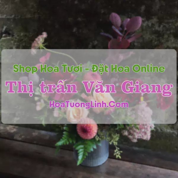Shop Hoa Tươi Thị Trấn Văn Giang - Hưng Yên