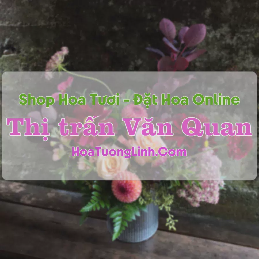 Shop Hoa Tươi Thị Trấn Văn Quan - Lạng Sơn