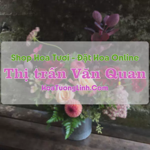 Shop Hoa Tươi Thị Trấn Văn Quan - Lạng Sơn