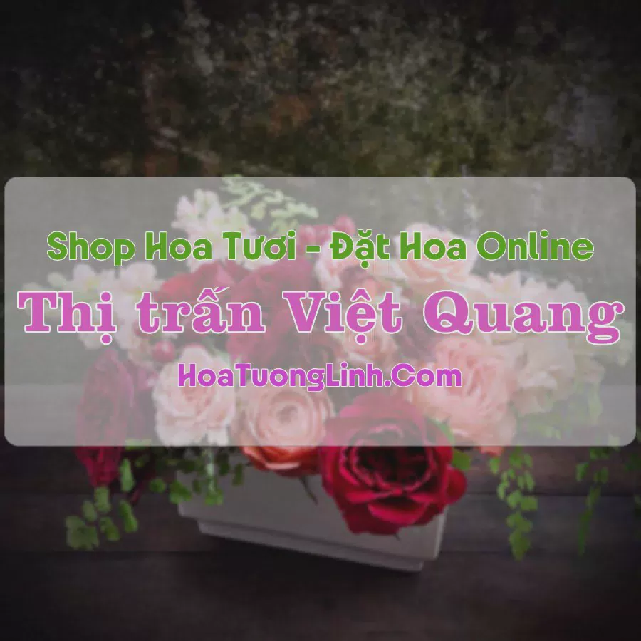 Shop Hoa Tươi Thị Trấn Việt Quang - Hà Giang