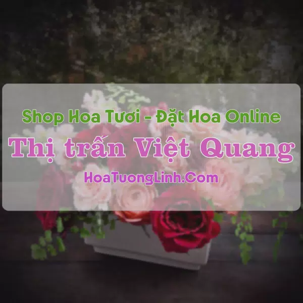 Shop Hoa Tươi Thị Trấn Việt Quang - Hà Giang