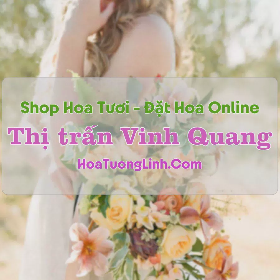 Shop Hoa Tươi Thị Trấn Vinh Quang - Hà Giang